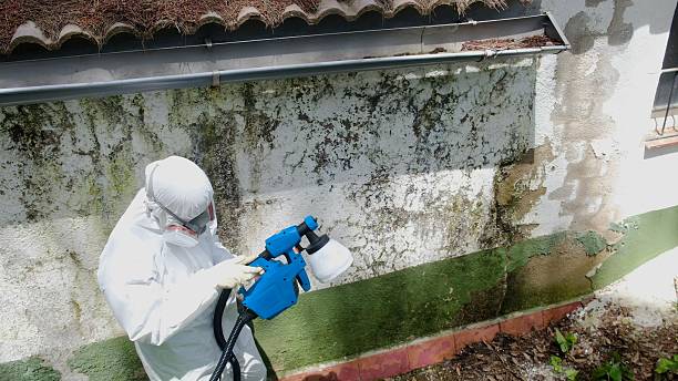 Trusted Commercial Mold Remediation service in Goldston, NC - Cheap Mold Removal